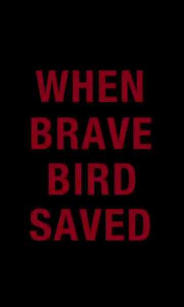 When Brave Bird Saved
