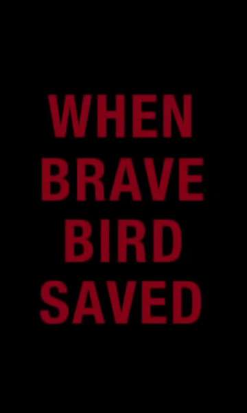 When Brave Bird Saved Poster
