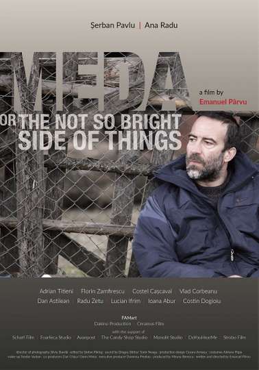 Meda or The Not So Bright Side of Things Poster
