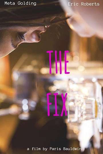 The Fix Poster