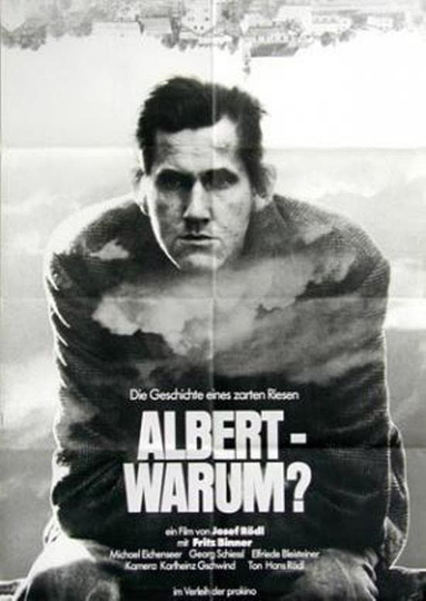 Albert - warum?