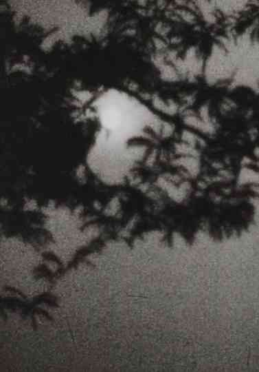 Moonplay