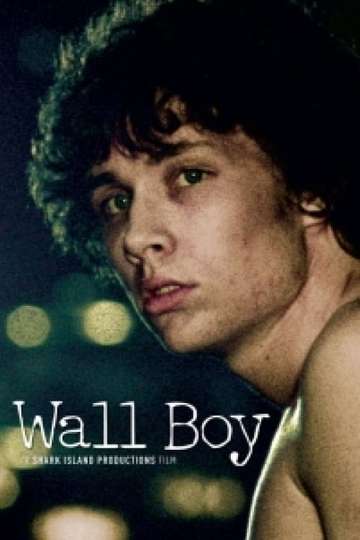 Wall Boy Poster