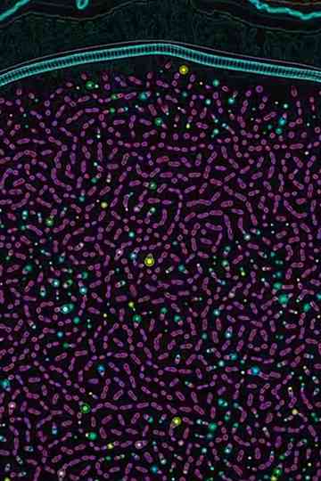 Order from Chaos Poster