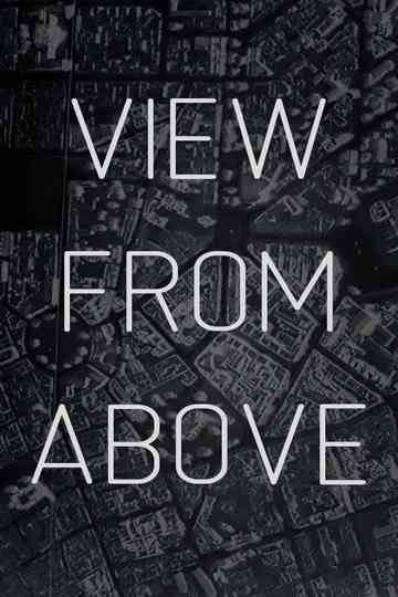 View From Above Poster