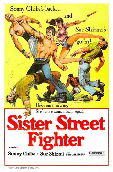Sister Street Fighter Poster
