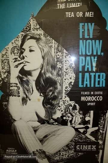 Fly Now Pay Later Poster