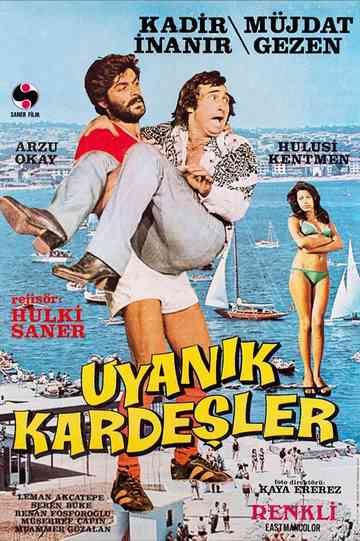 Uyanık Kardeşler poster