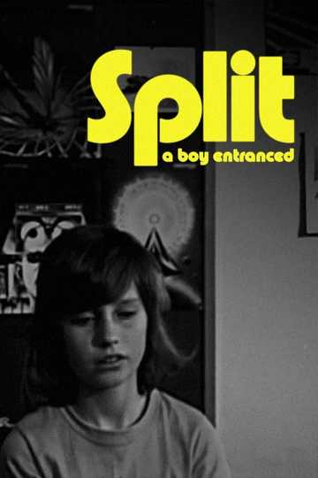 Split Poster