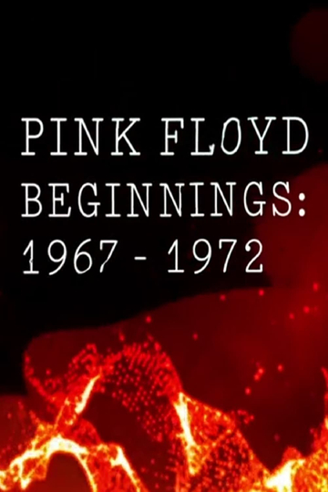 Pink Floyd Beginnings 19671972