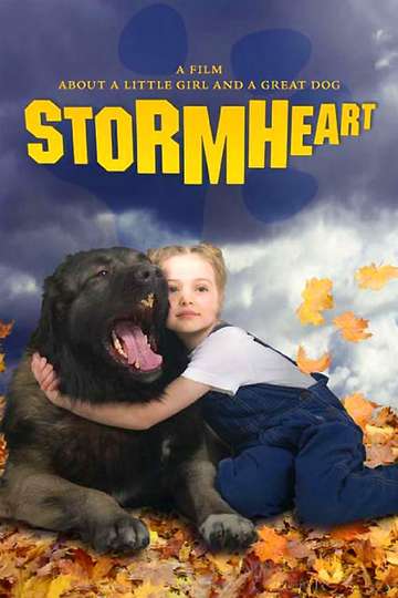 Stormheart Poster