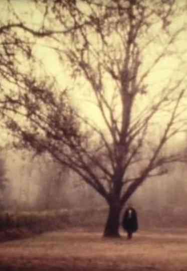 D. Jaime or the Portuguese Night