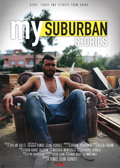 My Suburban Stories