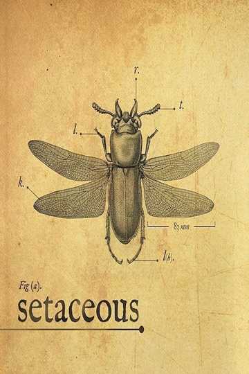 Setaceous Poster