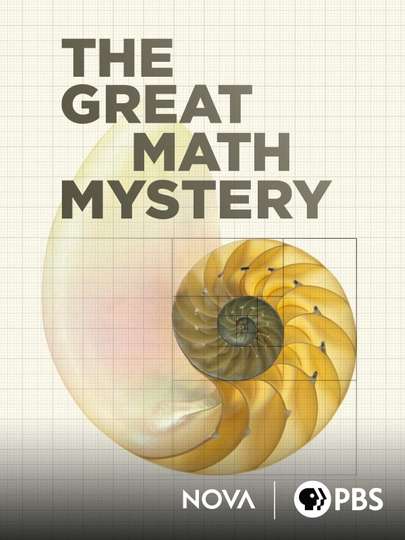 NOVA The Great Math Mystery Poster