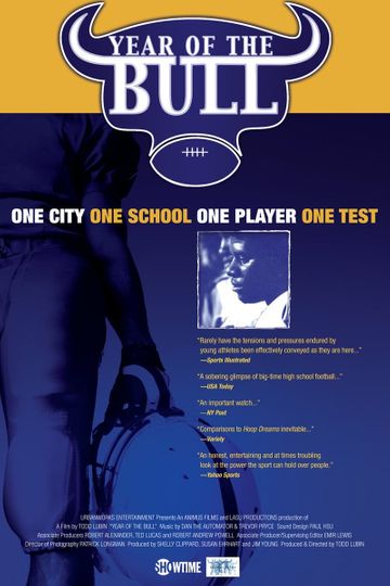 Year Of The Bull Poster