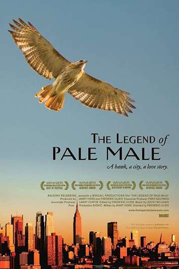 The Legend of Pale Male Poster