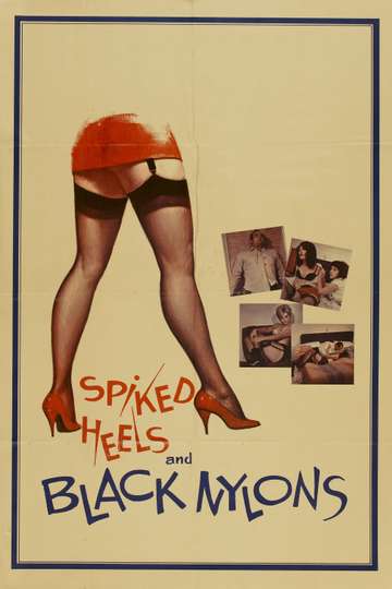 Spiked Heels and Black Nylons Poster