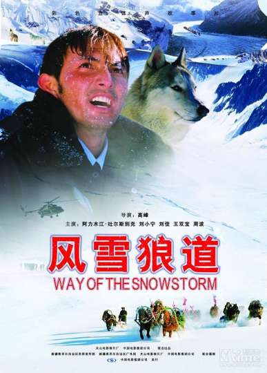 Way of the Snowstorm Poster