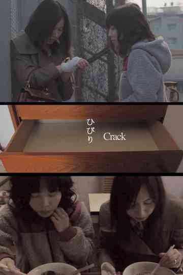 Crack Poster