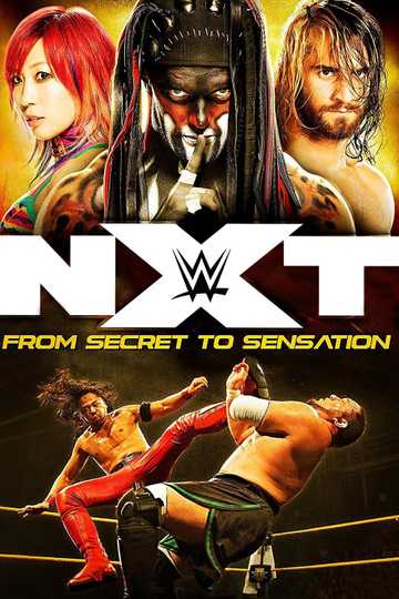 NXT: From Secret To Sensation