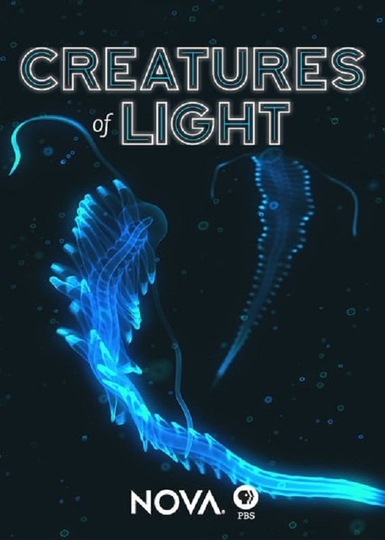 Creatures of Light Poster