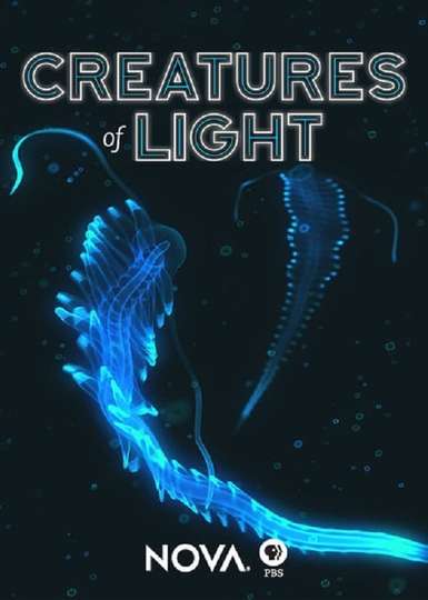 Creatures of Light Poster