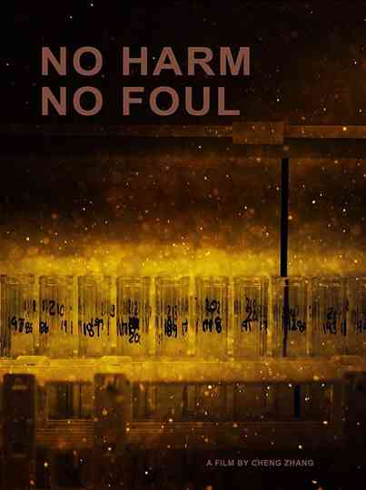 No Harm No Foul