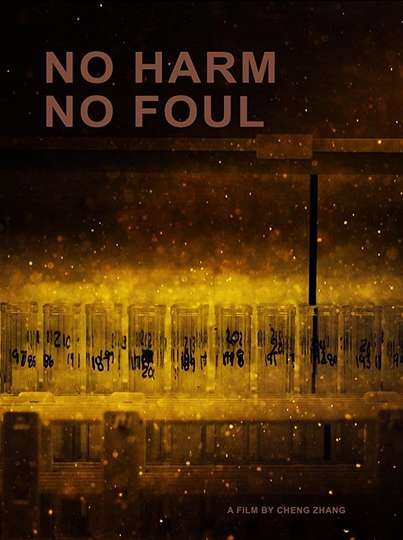 No Harm No Foul - Movie Cast, Reviews, Trailers & Streaming Info ...