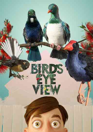 Bird's Eye View Poster
