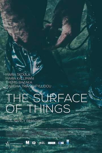 The Surface of Things Poster