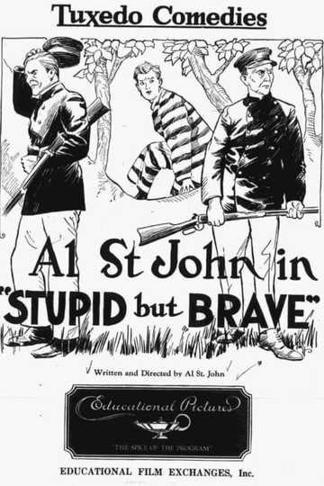 Stupid, but Brave Poster