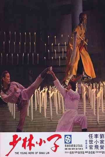 Young Hero of Shaolin