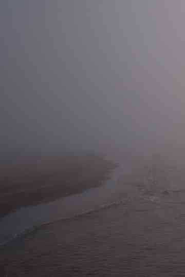 Niebla