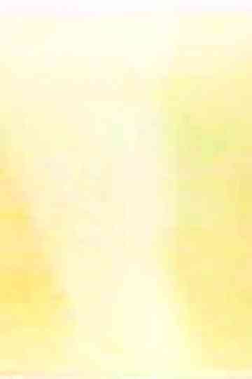 Sincerity V