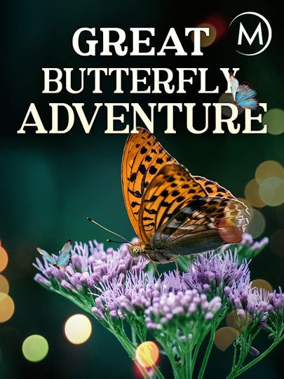 The Great Butterfly Adventure: Africa to Britain with the Painted Lady