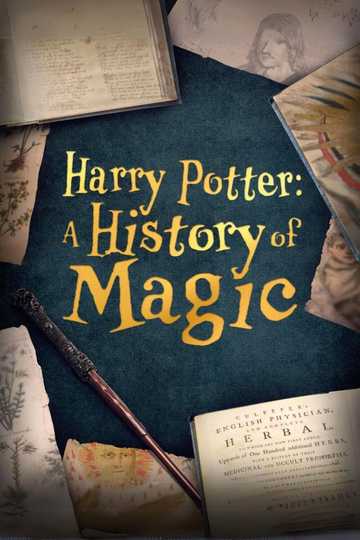 Harry Potter: A History Of Magic Poster