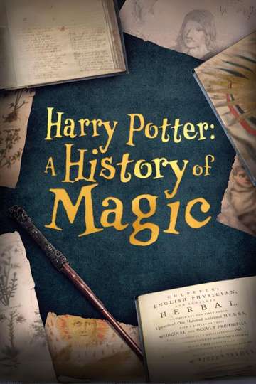 Harry Potter A History Of Magic Poster