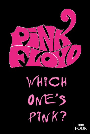 The Pink Floyd Story Which Ones Pink