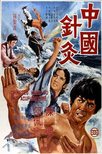 Chinese Kung Fu and Acupuncture Poster
