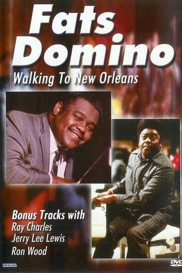 Fats Domino Walking to New Orleans Poster