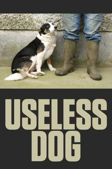 Useless Dog