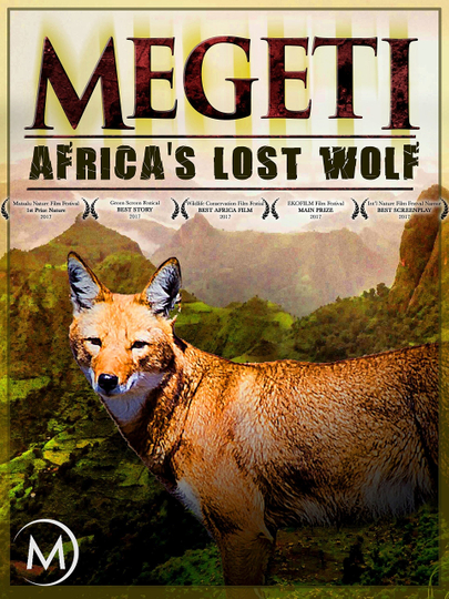 Megeti  Africas Lost Wolf