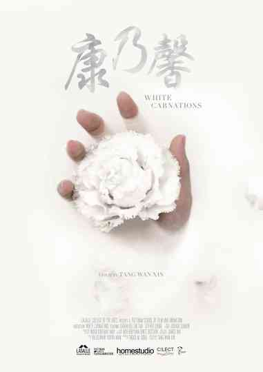 White Carnations