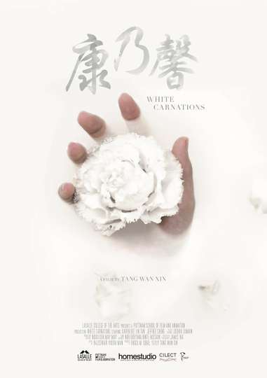 White Carnations Poster