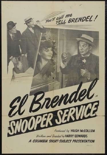 Snooper Service Poster