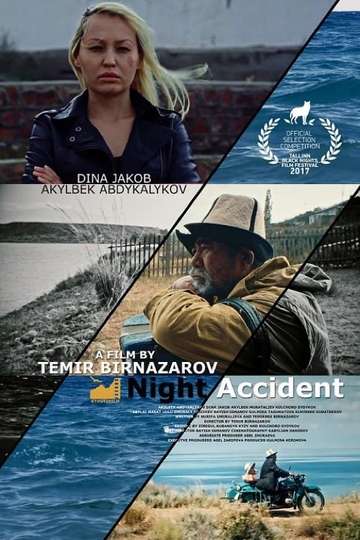 Night Accident Poster