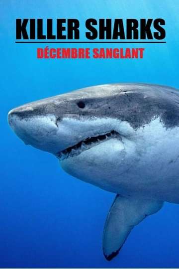 Killer Sharks  The Attacks Of Black December Poster