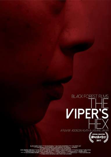 The Vipers Hex Poster