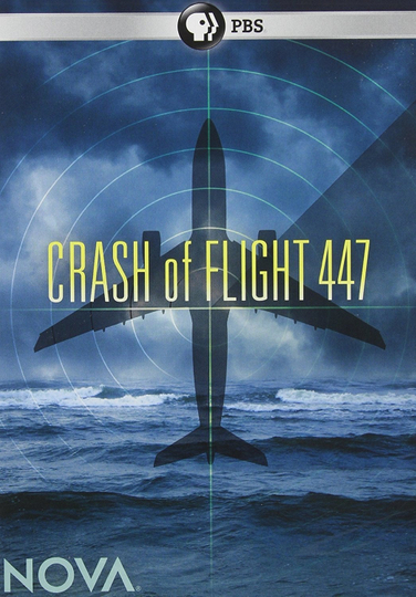 Crash of Flight 447